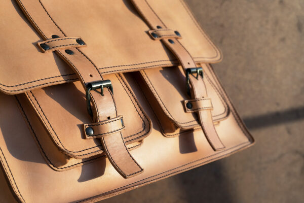 Articulo-1-combalia Articulo-1-combalia