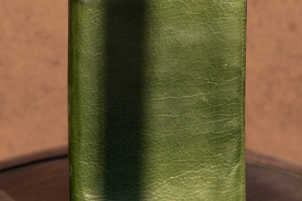 Articulo-6-combalia Articulo-6-combalia