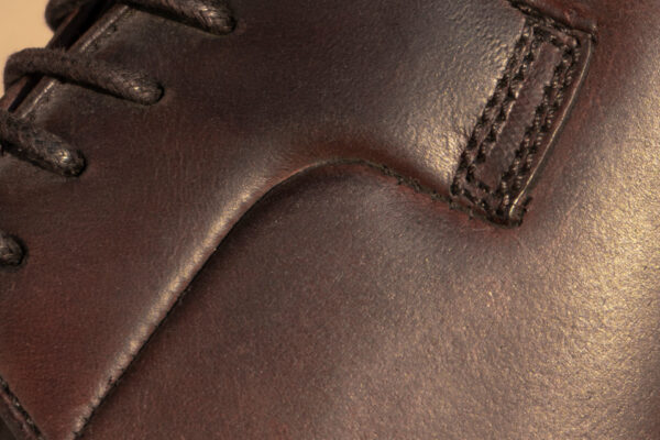 Articulo-7-combalia Articulo-7-combalia